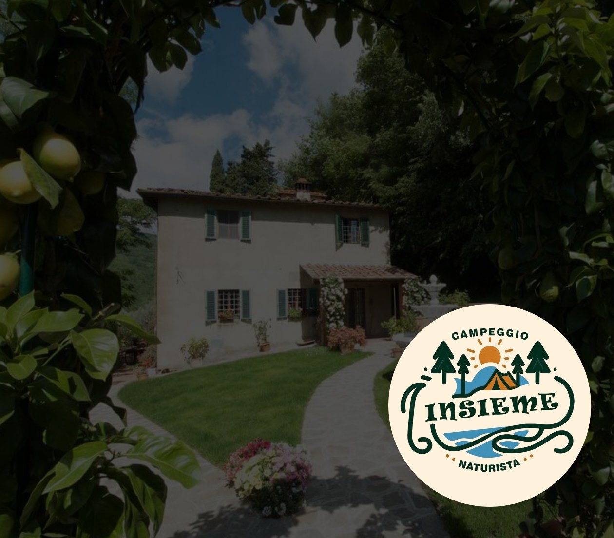 0fa804086cb5ff6f85a55687ef2d8439