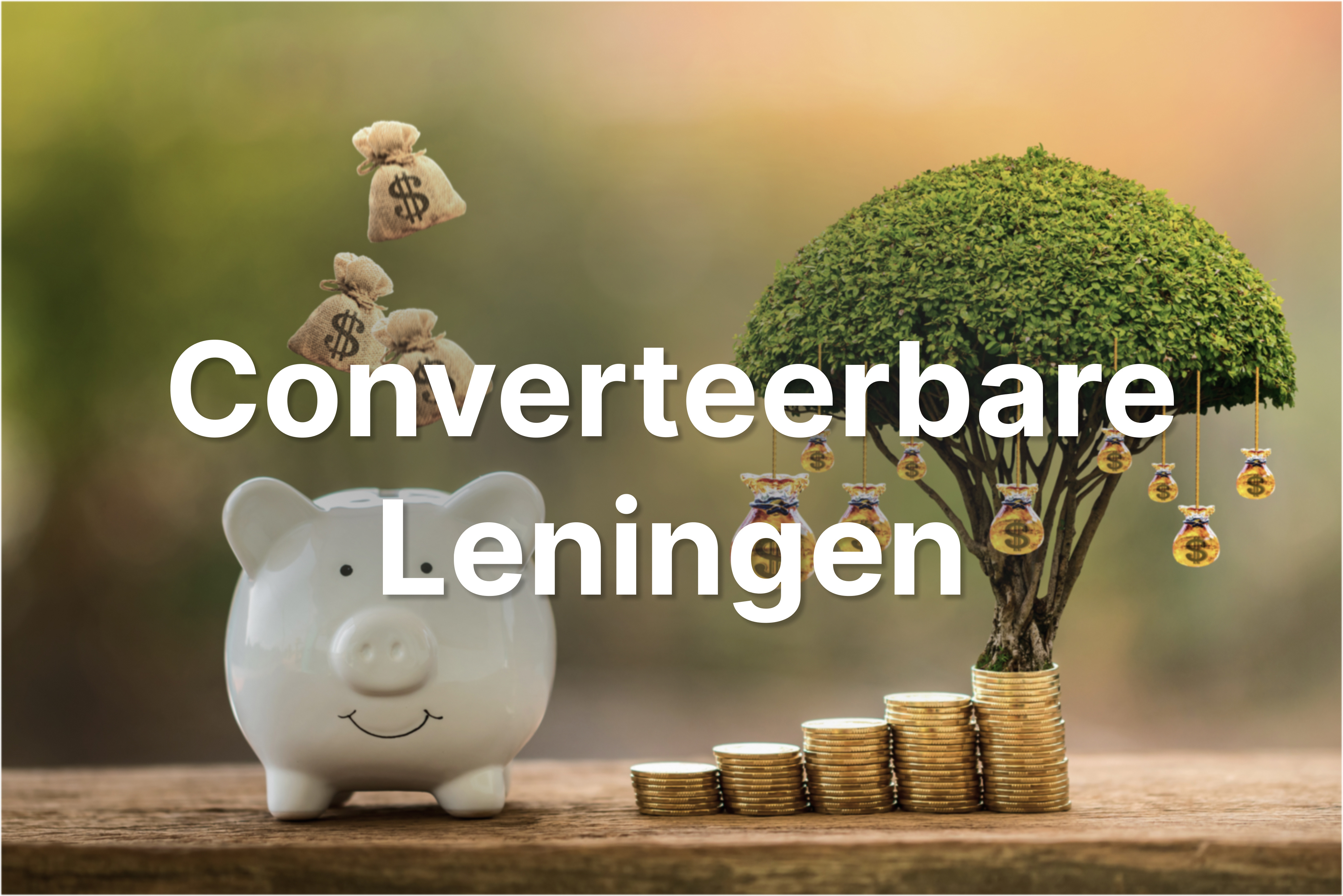 Converteerbare Leningen