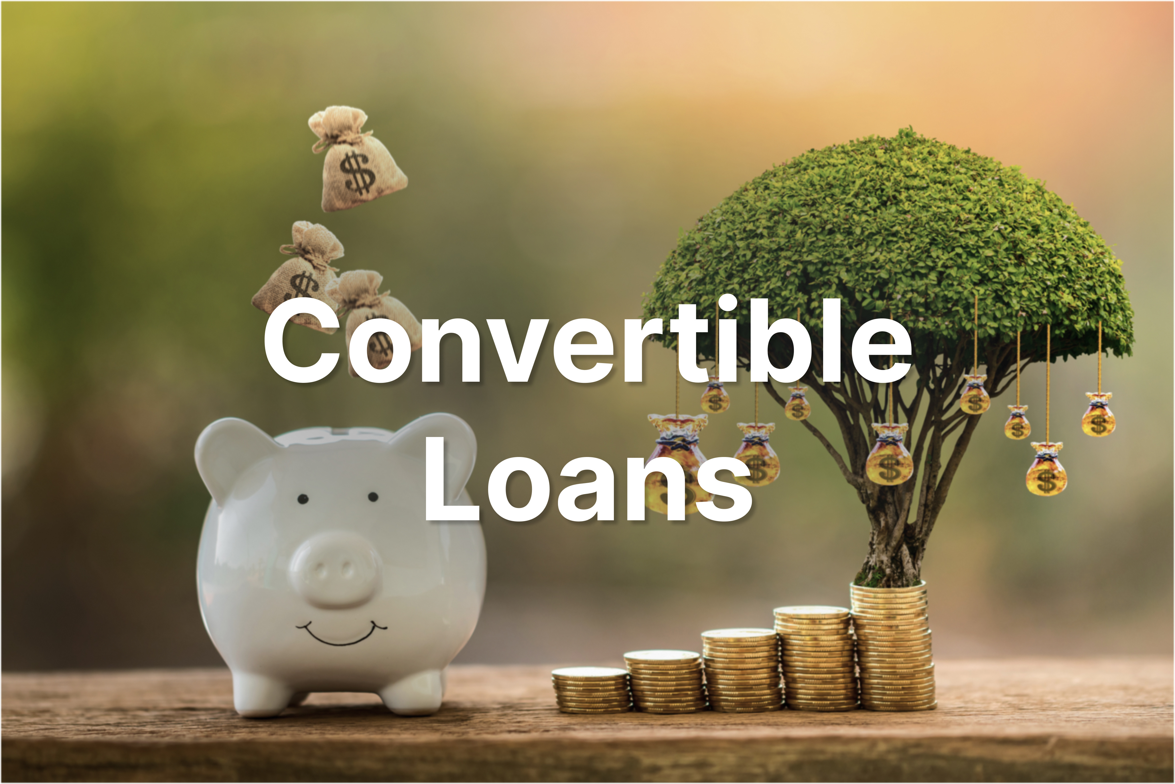 Convertible Loans